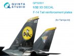     F-14 (  Tamiya)