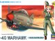     EGG PLANE P-40 WARHAWK (Hasegawa)