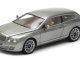    BENTLEY Continental Flying Star by Touring 2010 Grey (Premium X)