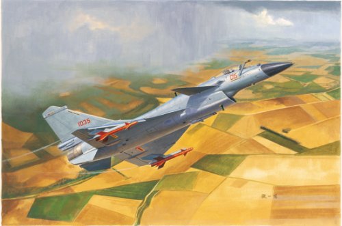 Chinese J-10B Fighter