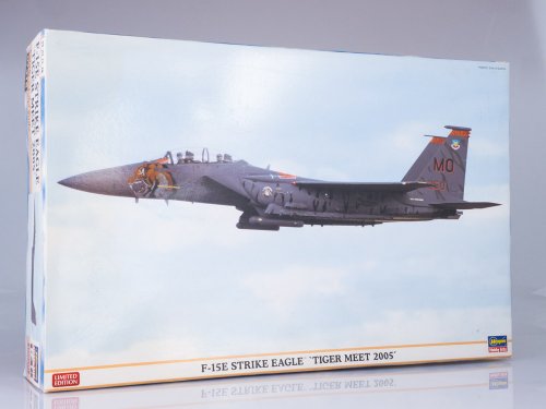 F-15E Strike Eagle 'Tiger Meet 2005'