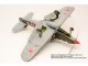    P-39N/Q Aircobra &quot;Soviet Gurad Regi.&quot; (Special Hobby)