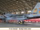     F-15J 304SQ Naha 2016 (Hasegawa)