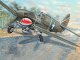    P-40F War Hawk (Trumpeter)