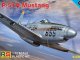    P-51 H Mustang (RS Models)