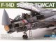    Grumman F-14D Super Tomcat (AMK)