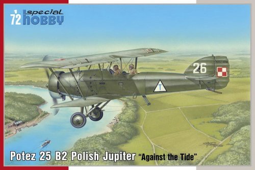 Potez 25 B2 Polish Jupiter Against the Tide