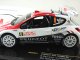     207 S2000 #6 J-J.Renucci-S.Sarrazin 4th Rally Monte Carlo 2010 (IXO)