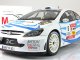     307 WRC - #5 (Sunstar)