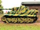     ,  38   VI TIGER (RI)