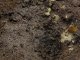    Terrains Muddy Ground (AK Interactive)
