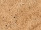    Terrains Sandy Desert (AK Interactive)