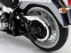    - Softail deluxe 2009 / (Highway 61)