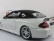     CLK DTM AMG Street  (Kyosho)
