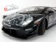      LP560-4 SUPER TROFEO 2009 SANNA #1 (Autoart)