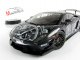      LP560-4 SUPER TROFEO 2009 SANNA #1 (Autoart)