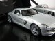      2  &quot; SLS AMG   300 SL&quot; (Schuco)