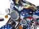    - Ultra Classic E-Glide Patriotic Edition (Franklin Mint)