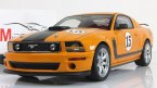  Parnelli Jones Saleen 15