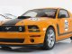     Parnelli Jones Saleen 15 (Autoart)