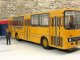    -260  (Classicbus)