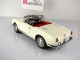       1300 Spider,  (Autoart)