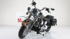 - FLSTC Heritage Softail Classic "Psychotic Billy"