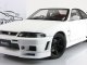      GT-R (R33) (Autoart)