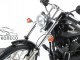    - Softail &quot; &quot; - LE, 2006 (Franklin Mint)