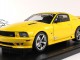      Saleen Extreme S281,  (Autoart)