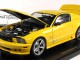      Saleen Extreme S281,  (Autoart)