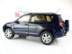     RAV4 (Paudi Models)