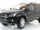     RAV4 (Paudi Models)