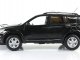     RAV4 (Paudi Models)