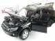     RAV4 (Paudi Models)