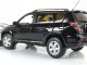     RAV4 (Paudi Models)