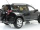     RAV4 (Paudi Models)