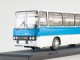    -256.51 - (Classicbus)