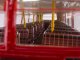    Routemaster Bus (Sunstar)