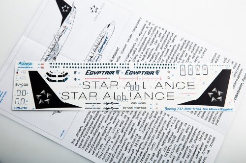    Boeing 737-800 Star Alliance Egyptair