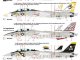    F-14A Tomcat, 5 marking options: VF-1, VF-142, VF-211, VF-21, VF-84. (Vixen)