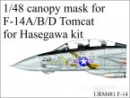 F-14 Tomcat (1/48, Hasegawa)