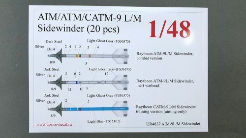   AIM/ATM/CATM-9 L/M Sidewinder (10 pcs)