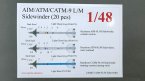   AIM/ATM/CATM-9 L/M Sidewinder (10 pcs)