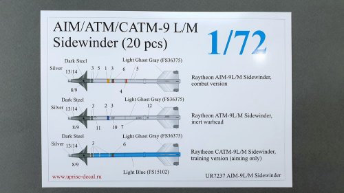   AIM/ATM/CATM-9 L/M Sidewinder (10 pcs)