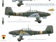      Ju-87 B-1 (Operation Barbarossa) (Colibri Decals)