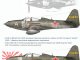     P-63C-5 Kingkobra in USSR (Colibri Decals)