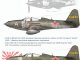     P-63C-5 Kingkobra in USSR (Colibri Decals)