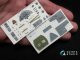       -185 (  ARK) ( QD48016-Pro) (Quinta Studio)
