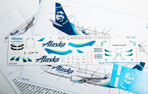    Boeing 737-700 Alaska